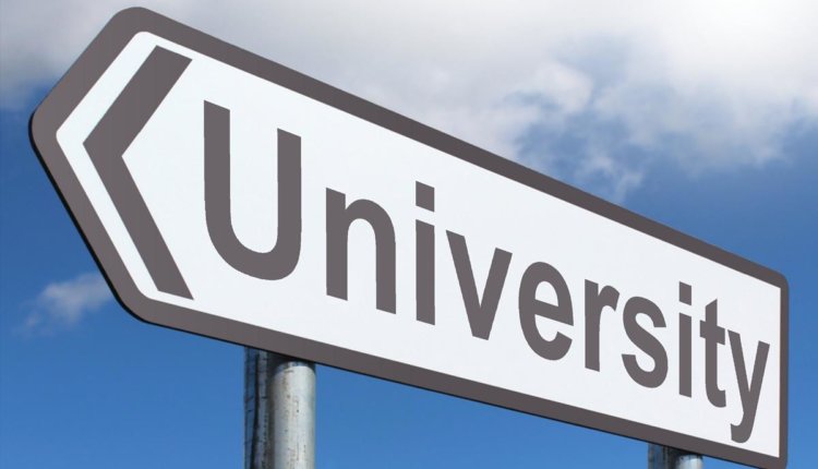 university